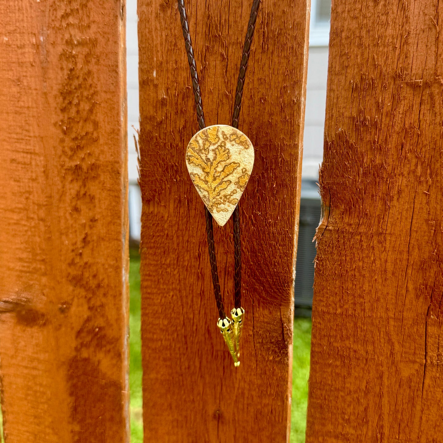 Psilomelane Dendrite Teardrop Bolo