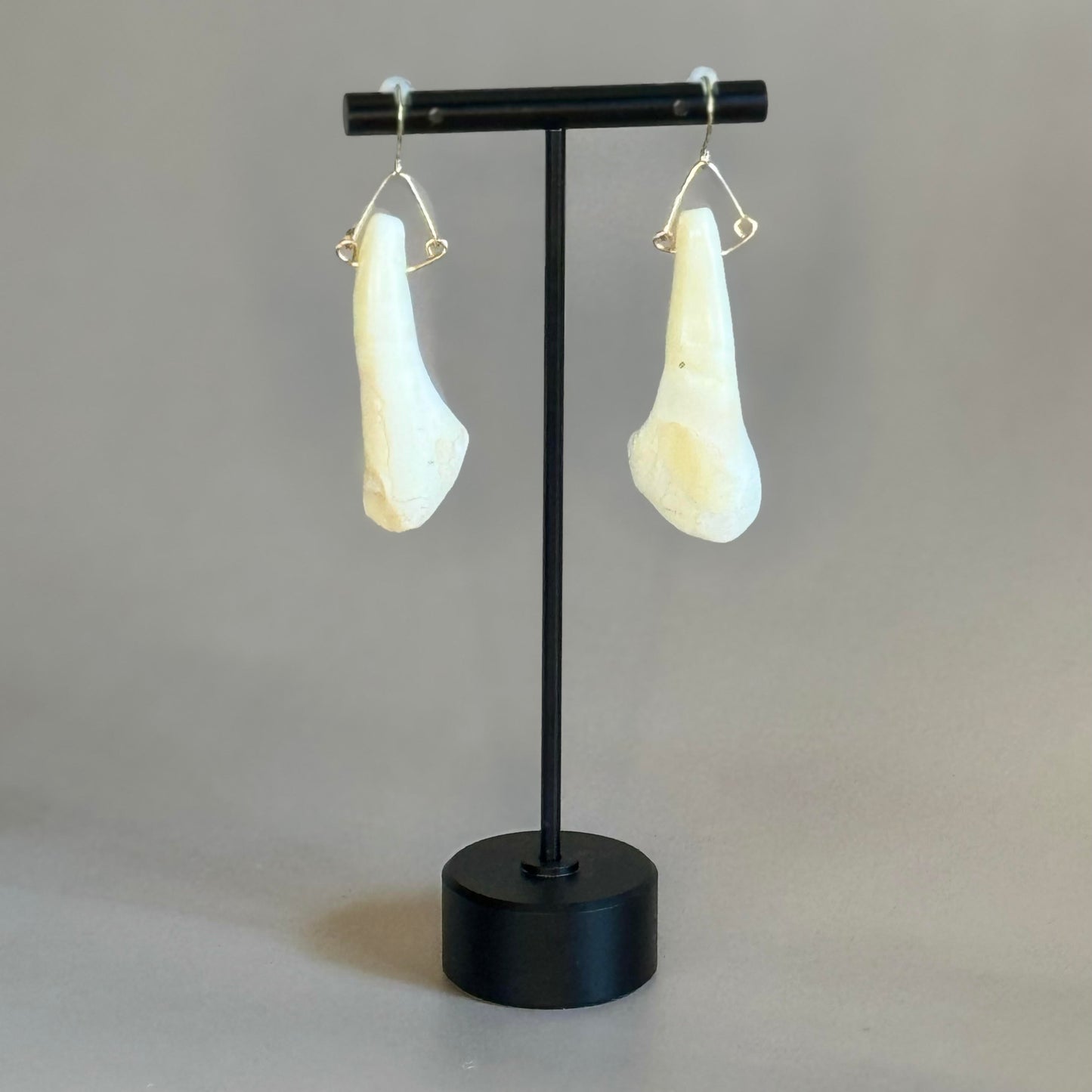 Bison Tooth Earrings