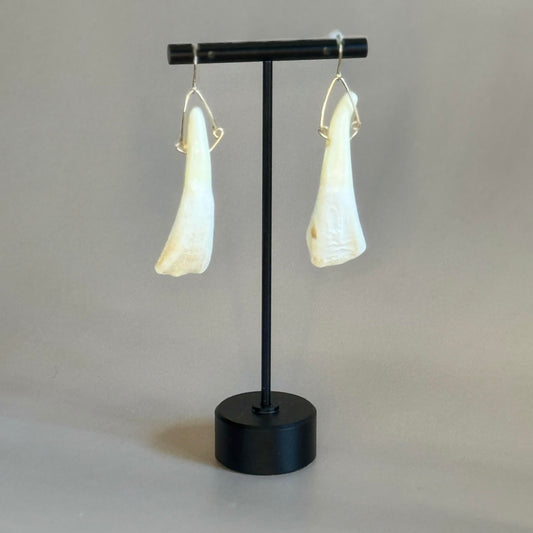 Bison Tooth Earrings