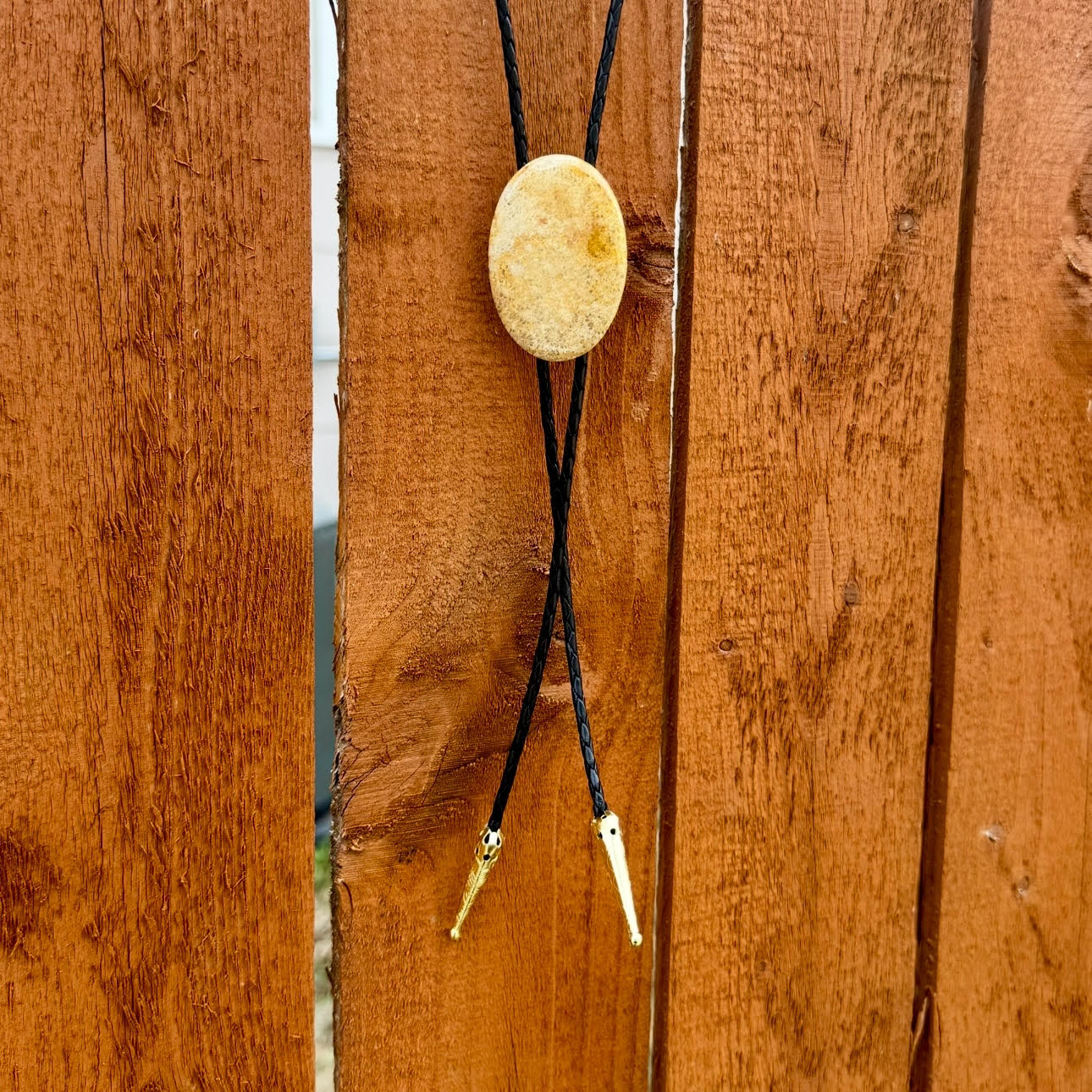 Fossil Coral Jasper Oval Bolo