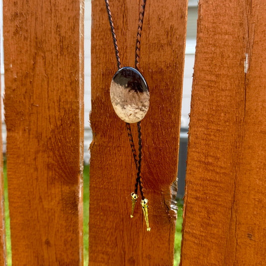 Fossilized Palm Root Oval Bolo