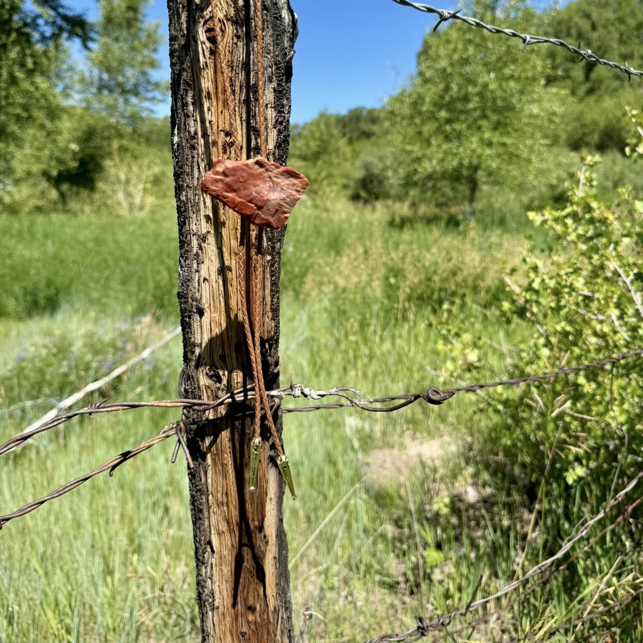 Petrified Wood Bolo